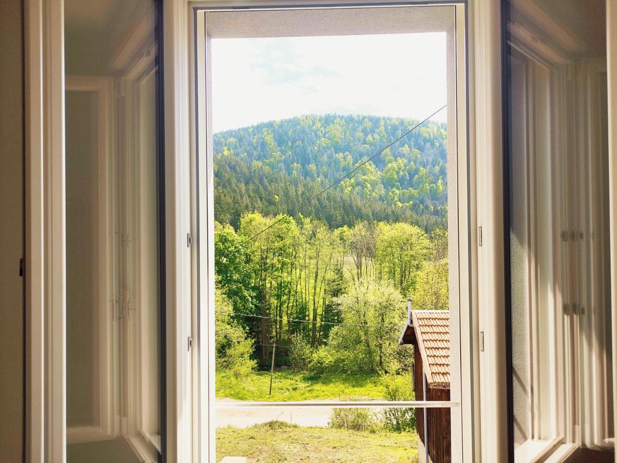 ⁂⁂ Le Chamois Appartement Cledicihome / Magnifique Vue Sur Les Montagnes / 4 Kms De Gerardmer ! ⁂⁂ Rochesson Exterior photo