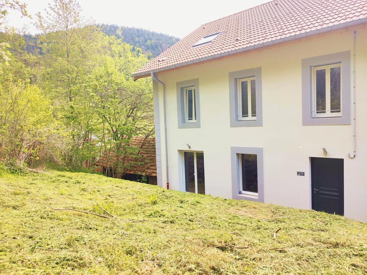⁂⁂ Le Chamois Appartement Cledicihome / Magnifique Vue Sur Les Montagnes / 4 Kms De Gerardmer ! ⁂⁂ Rochesson Exterior photo